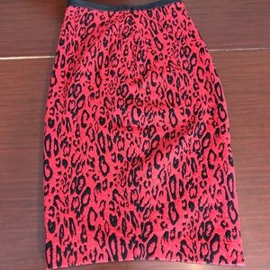 NWT Express Skirt